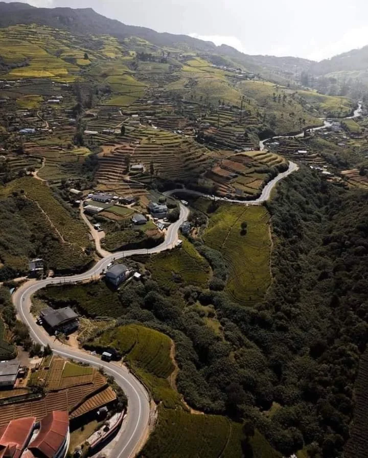 Hill country road in Sri Lanka